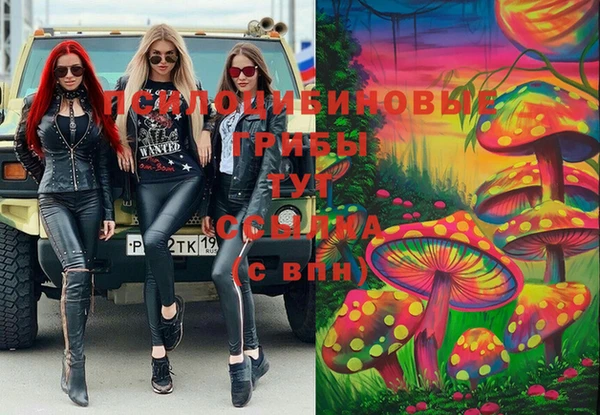 прущие крисы Верея