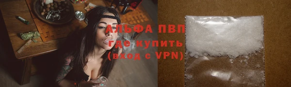 прущие крисы Верея