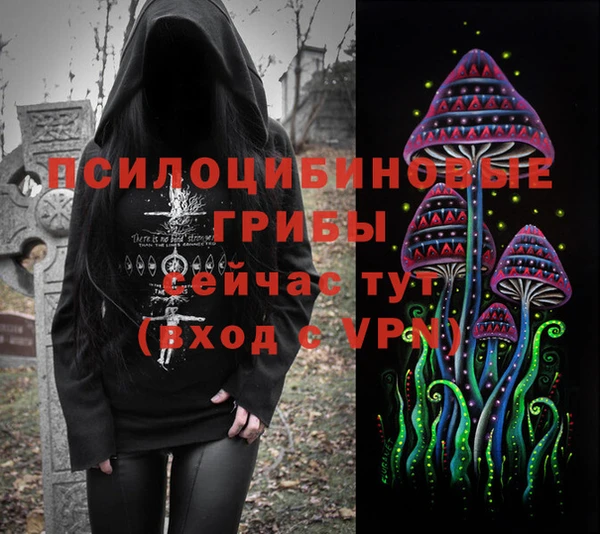 прущие крисы Верея