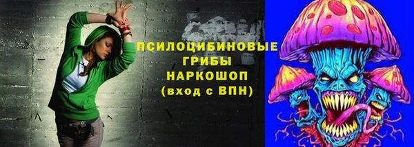 молекула духа Верхний Тагил