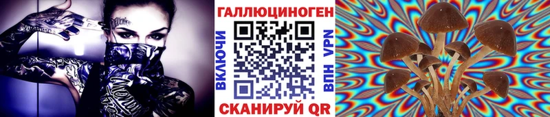 Галлюциногенные грибы Magic Shrooms  Купить закладки  Краснознаменск 